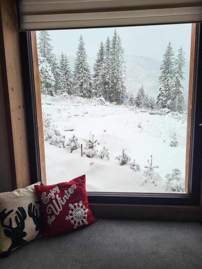 Hillview Jasna Chalet ديمانوفْشكا دولِنا المظهر الخارجي الصورة